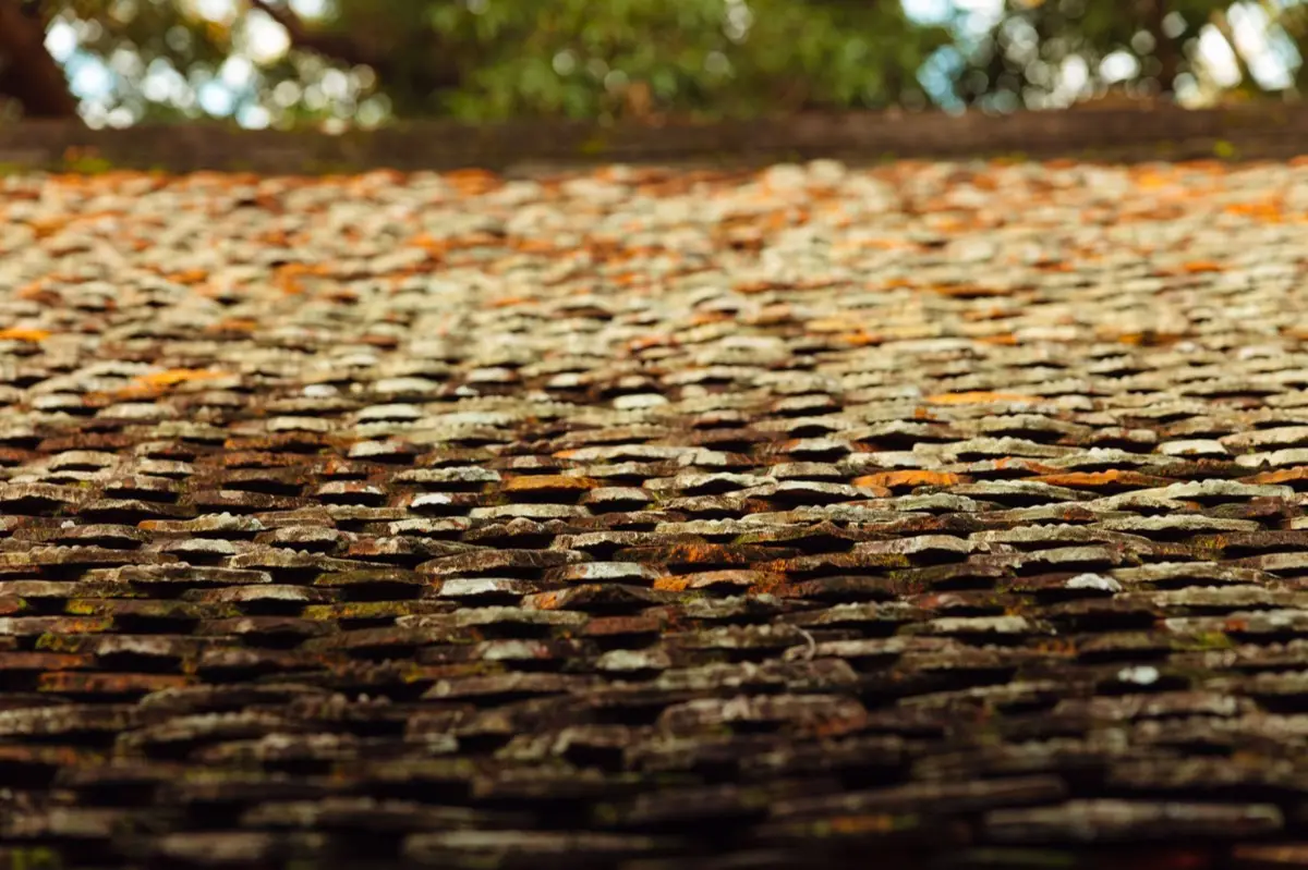Roof Coatings & Sealing in Orland Park, IL
